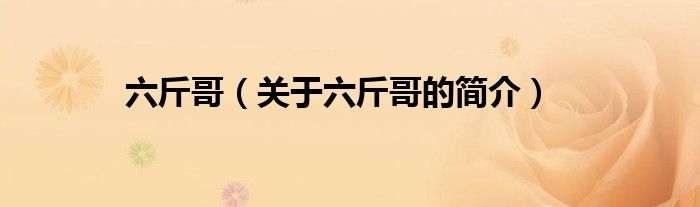 六斤哥（關(guān)于六斤哥的簡(jiǎn)介）