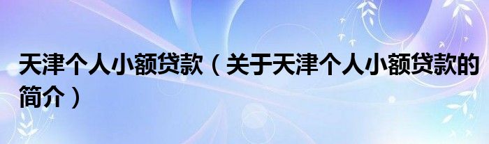 天津個(gè)人小額貸款（關(guān)于天津個(gè)人小額貸款的簡(jiǎn)介）