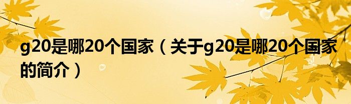 g20是哪20個(gè)國家（關(guān)于g20是哪20個(gè)國家的簡介）