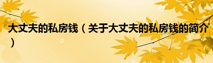 大丈夫的私房錢（關(guān)于大丈夫的私房錢的簡(jiǎn)介）