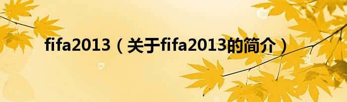 fifa2013（關于fifa2013的簡介）