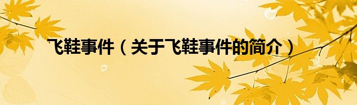 飛鞋事件（關(guān)于飛鞋事件的簡介）