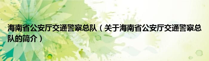 海南省公安廳交通警察總隊(duì)（關(guān)于海南省公安廳交通警察總隊(duì)的簡介）