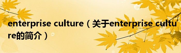 enterprise culture（關(guān)于enterprise culture的簡介）