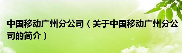 中國(guó)移動(dòng)廣州分公司（關(guān)于中國(guó)移動(dòng)廣州分公司的簡(jiǎn)介）