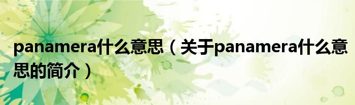 panamera什么意思（關(guān)于panamera什么意思的簡介）