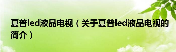 夏普led液晶電視（關(guān)于夏普led液晶電視的簡(jiǎn)介）