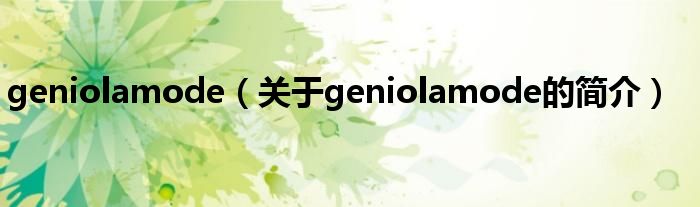 geniolamode（關(guān)于geniolamode的簡(jiǎn)介）