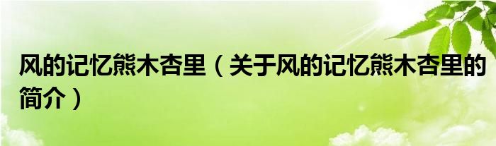 風的記憶熊木杏里（關于風的記憶熊木杏里的簡介）