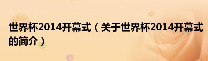 世界杯2014開幕式（關(guān)于世界杯2014開幕式的簡介）