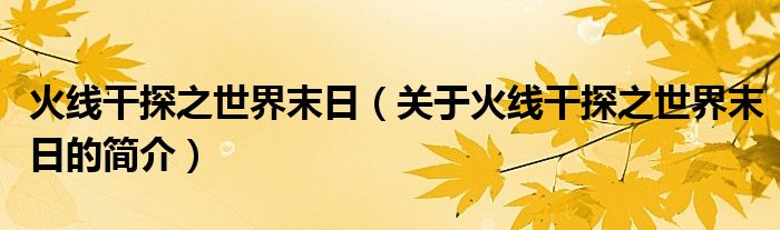 火線干探之世界末日（關(guān)于火線干探之世界末日的簡(jiǎn)介）