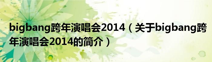 bigbang跨年演唱會2014（關于bigbang跨年演唱會2014的簡介）