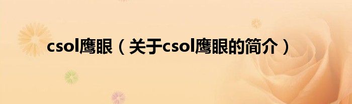 csol鷹眼（關(guān)于csol鷹眼的簡介）