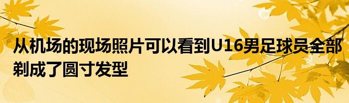 從機(jī)場(chǎng)的現(xiàn)場(chǎng)照片可以看到U16男足球員全部剃成了圓寸發(fā)型