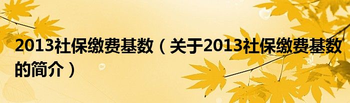 2013社保繳費基數(shù)（關(guān)于2013社保繳費基數(shù)的簡介）