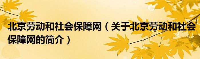 北京勞動和社會保障網（關于北京勞動和社會保障網的簡介）