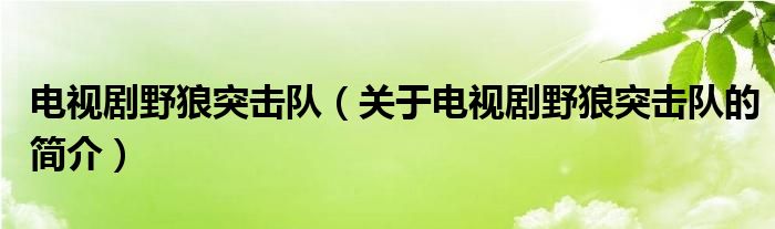 電視劇野狼突擊隊（關(guān)于電視劇野狼突擊隊的簡介）