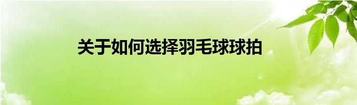 關于如何選擇羽毛球球拍