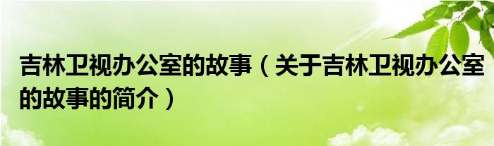 吉林衛(wèi)視辦公室的故事（關(guān)于吉林衛(wèi)視辦公室的故事的簡介）