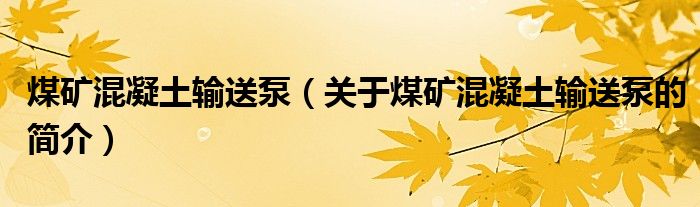 煤礦混凝土輸送泵（關(guān)于煤礦混凝土輸送泵的簡(jiǎn)介）