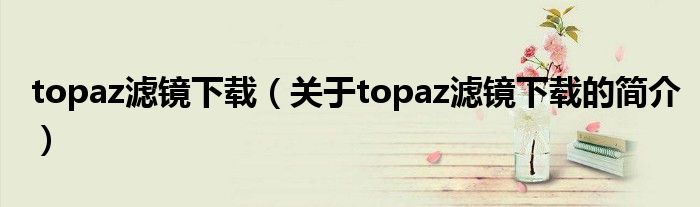 topaz濾鏡下載（關(guān)于topaz濾鏡下載的簡(jiǎn)介）