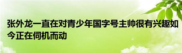 張外龍一直在對(duì)青少年國(guó)字號(hào)主帥很有興趣如今正在伺機(jī)而動(dòng)