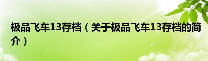 極品飛車13存檔（關(guān)于極品飛車13存檔的簡(jiǎn)介）