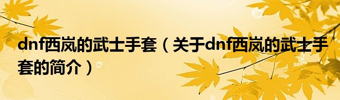 dnf西嵐的武士手套（關(guān)于dnf西嵐的武士手套的簡(jiǎn)介）