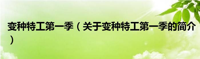 變種特工第一季（關(guān)于變種特工第一季的簡(jiǎn)介）