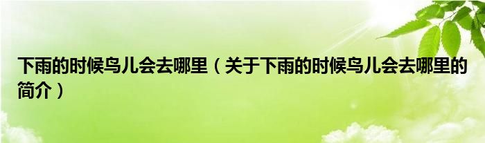 下雨的時(shí)候鳥(niǎo)兒會(huì)去哪里（關(guān)于下雨的時(shí)候鳥(niǎo)兒會(huì)去哪里的簡(jiǎn)介）