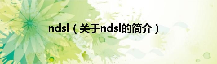 ndsl（關(guān)于ndsl的簡(jiǎn)介）