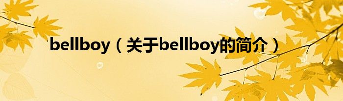 bellboy（關(guān)于bellboy的簡(jiǎn)介）