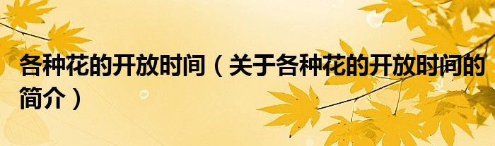 各種花的開放時(shí)間（關(guān)于各種花的開放時(shí)間的簡(jiǎn)介）