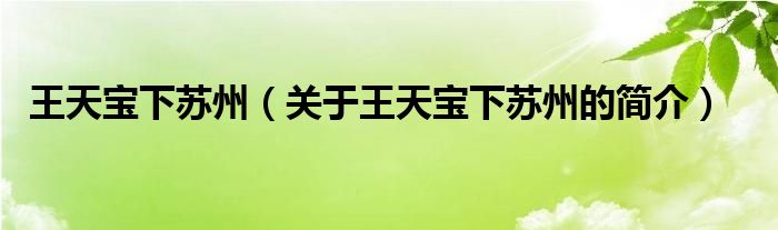 王天寶下蘇州（關(guān)于王天寶下蘇州的簡(jiǎn)介）