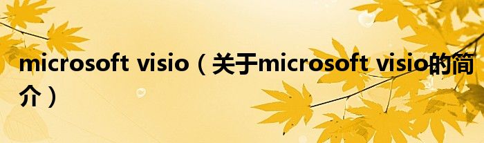 microsoft visio（關于microsoft visio的簡介）