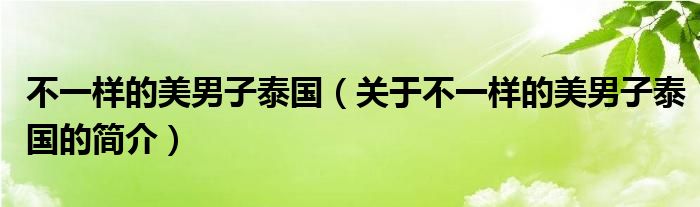 不一樣的美男子泰國（關(guān)于不一樣的美男子泰國的簡介）