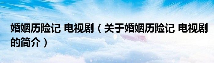 婚姻歷險記 電視?。P于婚姻歷險記 電視劇的簡介）