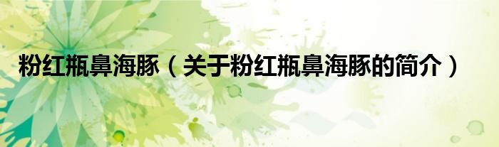 粉紅瓶鼻海豚（關(guān)于粉紅瓶鼻海豚的簡(jiǎn)介）