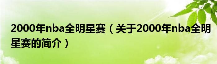 2000年nba全明星賽（關于2000年nba全明星賽的簡介）