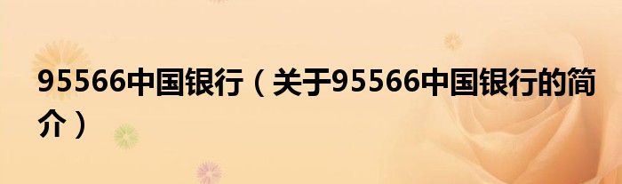 95566中國(guó)銀行（關(guān)于95566中國(guó)銀行的簡(jiǎn)介）