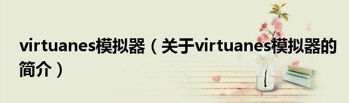 virtuanes模擬器（關(guān)于virtuanes模擬器的簡介）