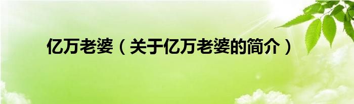 億萬老婆（關(guān)于億萬老婆的簡介）