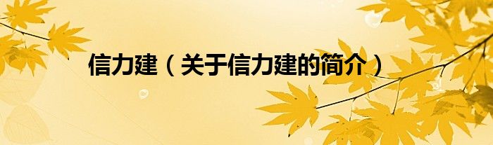 信力建（關于信力建的簡介）