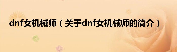 dnf女機械師（關于dnf女機械師的簡介）