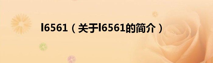 l6561（關(guān)于l6561的簡(jiǎn)介）