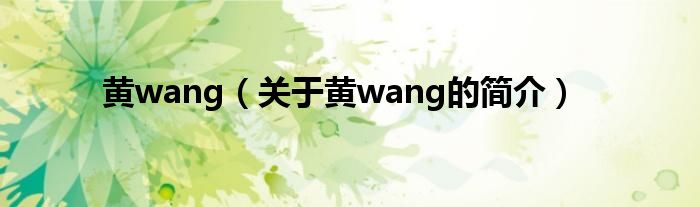 黃wang（關(guān)于黃wang的簡介）