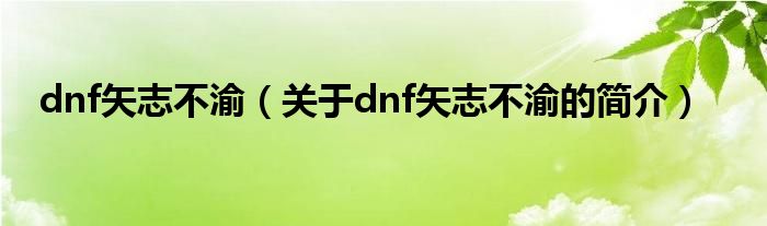 dnf矢志不渝（關(guān)于dnf矢志不渝的簡介）