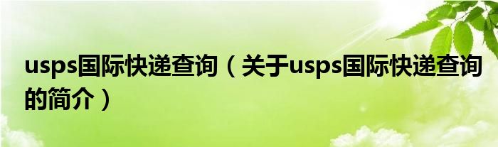 usps國(guó)際快遞查詢(xún)（關(guān)于usps國(guó)際快遞查詢(xún)的簡(jiǎn)介）