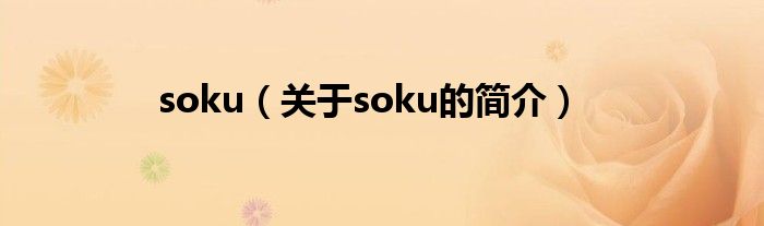 soku（關(guān)于soku的簡介）