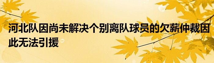 河北隊因尚未解決個別離隊球員的欠薪仲裁因此無法引援